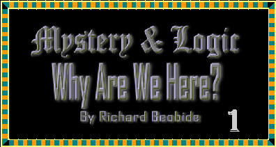Christian Article: This article addresses the scientific and religious question of "Why are we here?" It reveals how science, business and government hesitate to provide honest answers for people facing the looming questions of Hell and the after life.
